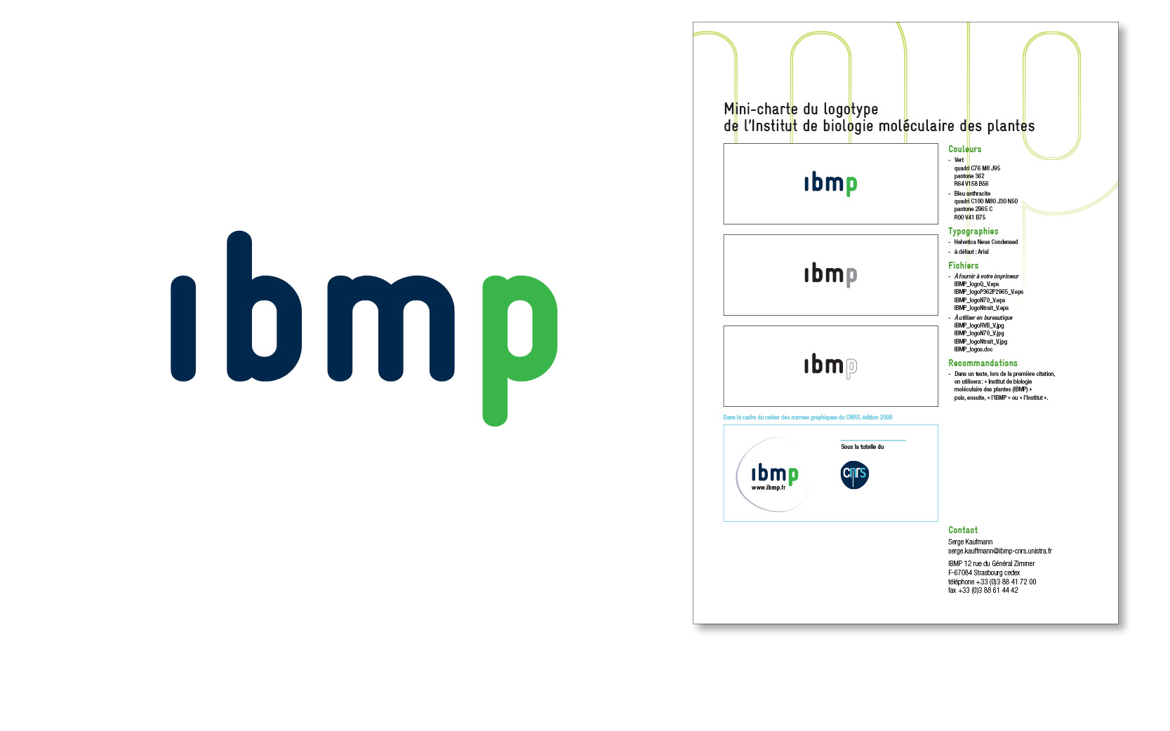 Logo et mini-charte graphique pour l'Institut de biologie moléculaire des plantes, 2009.